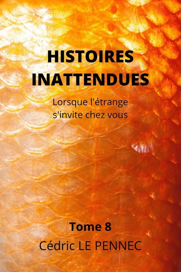 HISTOIRES INATTENDUES Tome 8